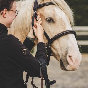 Hoofdstel check-up reserveringsaanbetaling