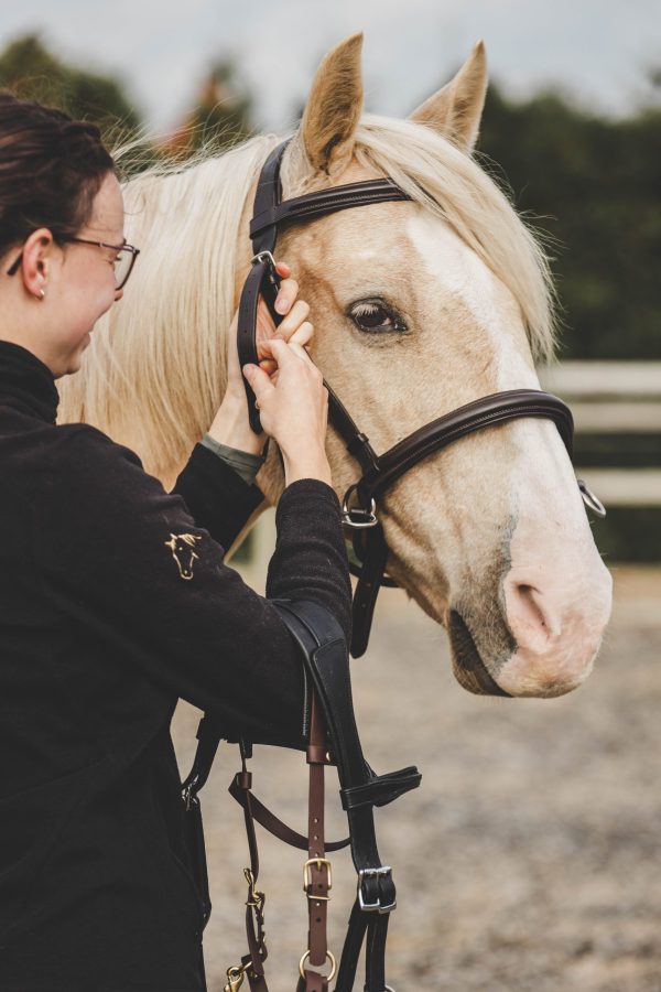 Hoofdstel check-up reserveringsaanbetaling